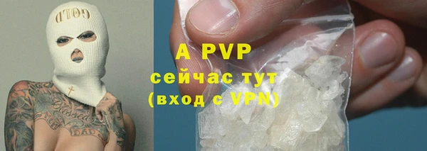 хмурый Карпинск