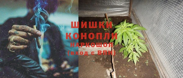 хмурый Карпинск