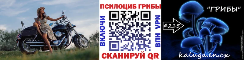 купить  сайты  мега зеркало  Галлюциногенные грибы Psilocybine cubensis  Батайск 