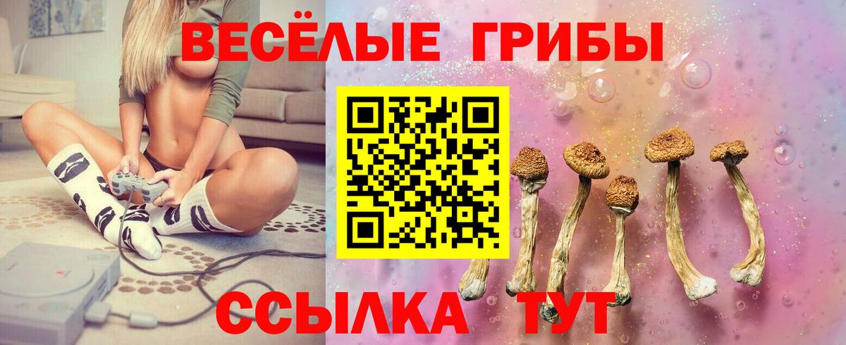 Псилоцибиновые грибы ЛСД Батайск