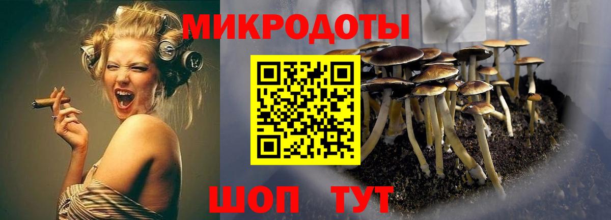 Батайск  Галлюциногенные грибы прущие грибы  Вход с VPN 